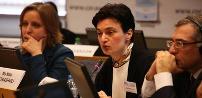The Second meeting of the EU-Georgia Civil Society Platform